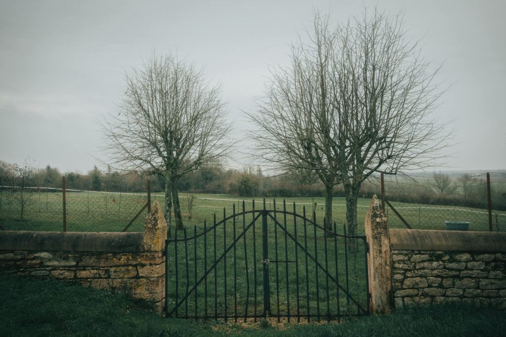 A serene rural scene with a metal gate and bare trees under a cloudy sky.